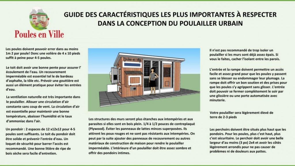 Voici Un Guide Des Caract Ristiques Les Plus Importantes Respecter