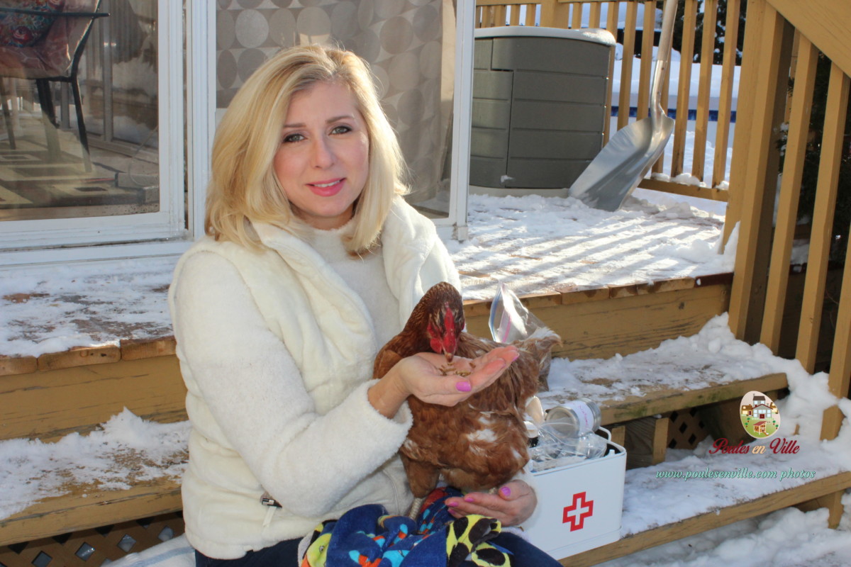 Avez-vous observé l'état de santé de vos poules cette semaine